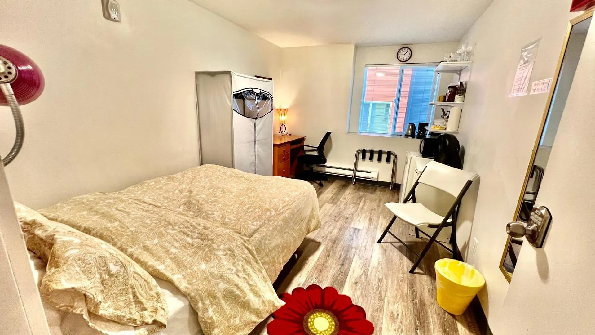 Micro Studio Apartment 10 Minutes Walk To University Of Washington Seattle 0*,  United States
